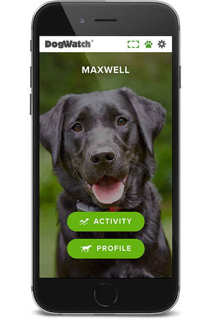 DogWatch of Vermont, Troy, New York | SmartFence WebApp Image