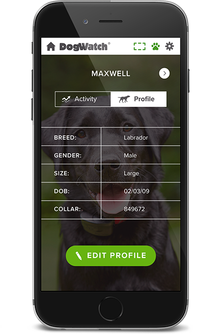 DogWatch of Vermont, Troy, New York | SmartFence WebApp Image